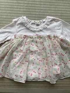 Item thumbnail for item 742d39c4-8c0e-40b1-93db-1fd03450d61f