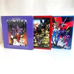 レーザーディスク、新世紀エヴァンゲリオン 3LD-BOX　14巻　限定版