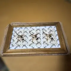 Item thumbnail for item f117a1f4-0974-4a1a-b49d-0965b532a0af