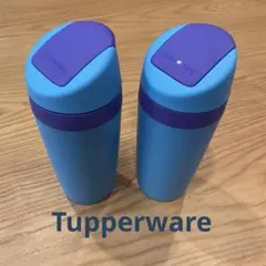 Item thumbnail for item 4c84d63c-08f3-456d-9f49-b90961f28b27