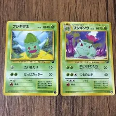 フシギダネ フシギソウ　イントロパック　旧裏　2枚セット