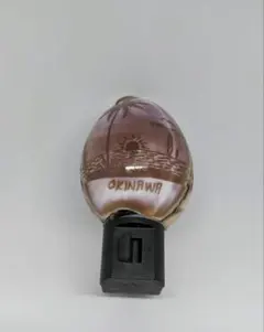 沖縄 貝殻 フットライト 足元灯