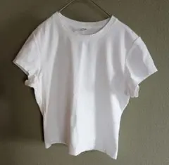 Item thumbnail for item 5ef2316b-8e52-4268-8764-58a06bfa6331