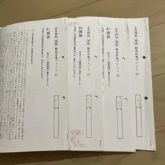 2025年最新】筑駒 国語 サピックスの人気アイテム - メルカリ