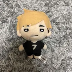 2026年最新】ハイキュー!!︎ にとたん ぬいぐるみ 宮侑 宮治の人気