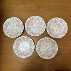 未使用 Teien Fine china レトロ 花柄 カレー皿 5枚セット