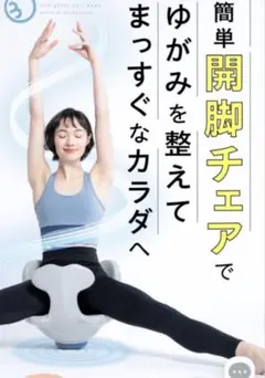 極美品‼︎ Circle Balance ヨガバランス開脚チェア カバー付 - メルカリ