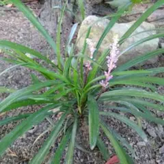 A-riey様 リクエスト 3点 まとめ商品