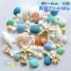 ブルー系ミックス 貝殻セット 自由研究 工作 ハンドメイド 天然素材 海
