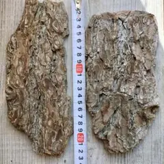 Item thumbnail for item a9d9672d-33d5-4b27-82c0-3e59caed10e5