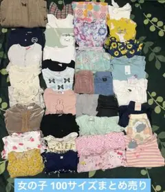 女の子 オールシーズン まとめ売り 100
