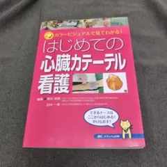 Item thumbnail for item 1ccdc7e4-f59b-49ad-8100-111123c8b080