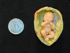 サーニット 粘土 ドール くるみ殻入り 女の子 作家作 購入前にコメント下さい 2026年最新】サーニットドールの人気アイテム - メルカリ