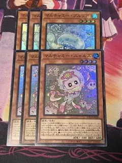 マルチャミー・ニャルス　マルチャミー・プルリア