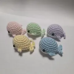 くじらのあみぐるみ 5色セット