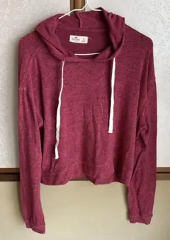 Hollister フード付き赤クロップドスウェット S