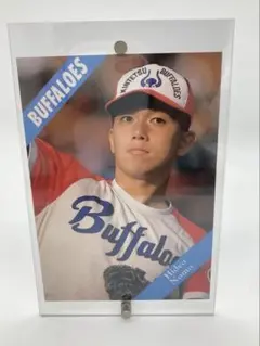 seimi99様 リクエスト 2点 まとめ商品