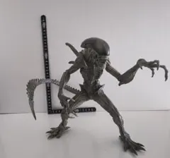 2026年最新】エイリアン ウォーリアー リアルフィギュアの人気アイテム