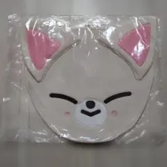 2026年最新】straykidsうちわカバーの人気アイテム - メルカリ