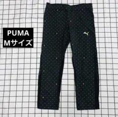 Item thumbnail for item 3d1cf823-b219-4ee7-b966-b3fdb4e8b763