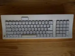 Apple Keyboard スタンダードキーボード　M0116J