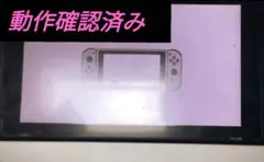 【未対策機】Switch 初期型 XAJ10004733873 7900円