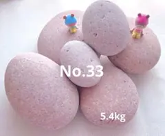 쿠마짱의 이시코로 33호