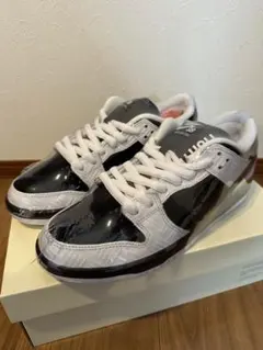 TIGHTBOOTH × Nike SB Dunk Low Pro QS