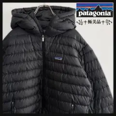 2026年最新】パタゴニア ダウンセーター フーディの人気アイテム