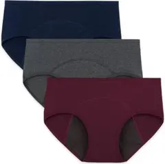 サニタリーショーツ 生理用ショーツ 吸水ショーツ 漏れない 下着 セット