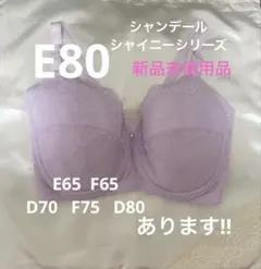 2025年最新】シャンデール ブラジャーe80の人気アイテム - メルカリ