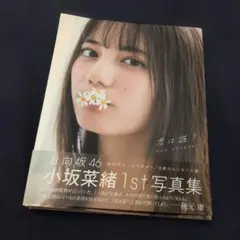 小坂菜緒　写真集　君は誰？