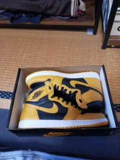 NIKE Air Jordan 1RETRO HIGH OG　POLLEN