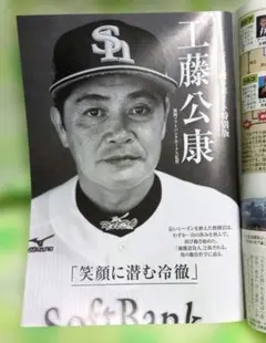 週刊現代 2015年12月19日号　南野陽子　マギー　工藤公康