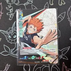 日向翔陽 HV-P01-002 ハイキュー!! バボカ!!