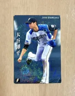 大谷翔平　プロ野球チップスカード　日本ハム　ファイターズ　エンゼルス　ドジャース 大谷翔平 プロ野球チップスカード 日本ハム ファイターズ エンゼルス