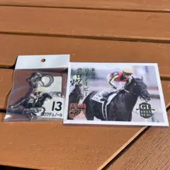 JRA 競馬 クロワデュノール 日本ダービー 御駿印 アクリルキーホルダー 2点