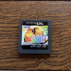 DS おしゃべりオウム