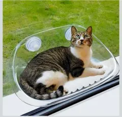 Item thumbnail for item 43b7c818-2570-4b2c-af83-1b6aa641d93f