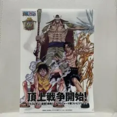 2026年最新】ワンピース ログコレクション クリアファイルの人気
