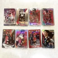 バレーボール 男子日本代表 ウエハース