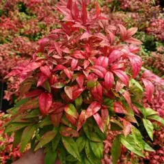 Emoto様 リクエスト 2点 まとめ商品