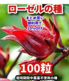 フミ様 リクエスト 3点 まとめ商品