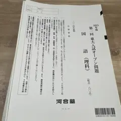 河合塾 東大オープン 8回分 文系 2010〜2013年 第1・第2回解答解説付 河合塾 東大オープン 8回分 文系 2010〜2013年 第1・第2回解答解説付