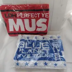 LDH PERFECT YEAR & J Soul Brothers タオル