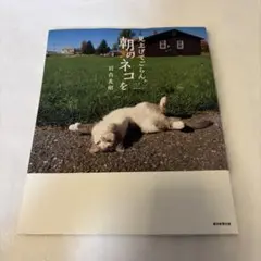 見上げてごらん、朝のネコを 岩合光昭 写真集