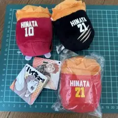 ハイキュー　のるキャラ　日向翔陽 日本代表　アーザスサンパウロ BJ