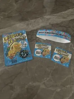 17回What a Wonderful World!!25 モンパチ非売品