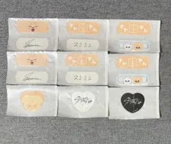 Stray Kids SKZOO チャームエイド スンミン