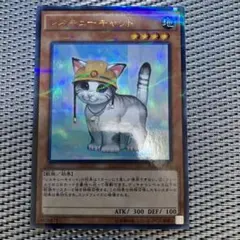 遊戯王　レスキューキャット　ウルトラパラレル